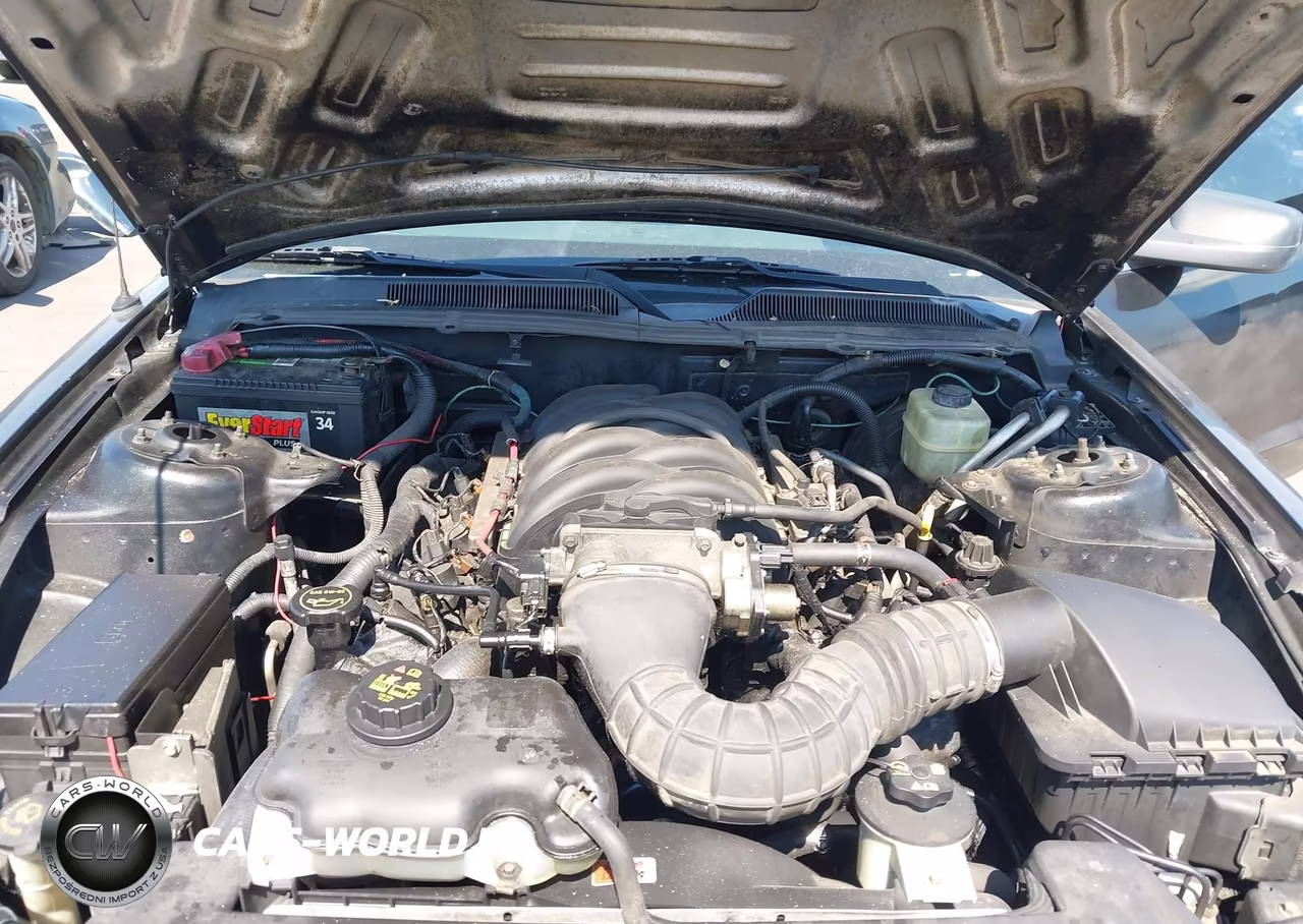2005 Ford Mustang Gt Deluxe-Gt Premium VIN:1ZVFT82H355237933 - 10