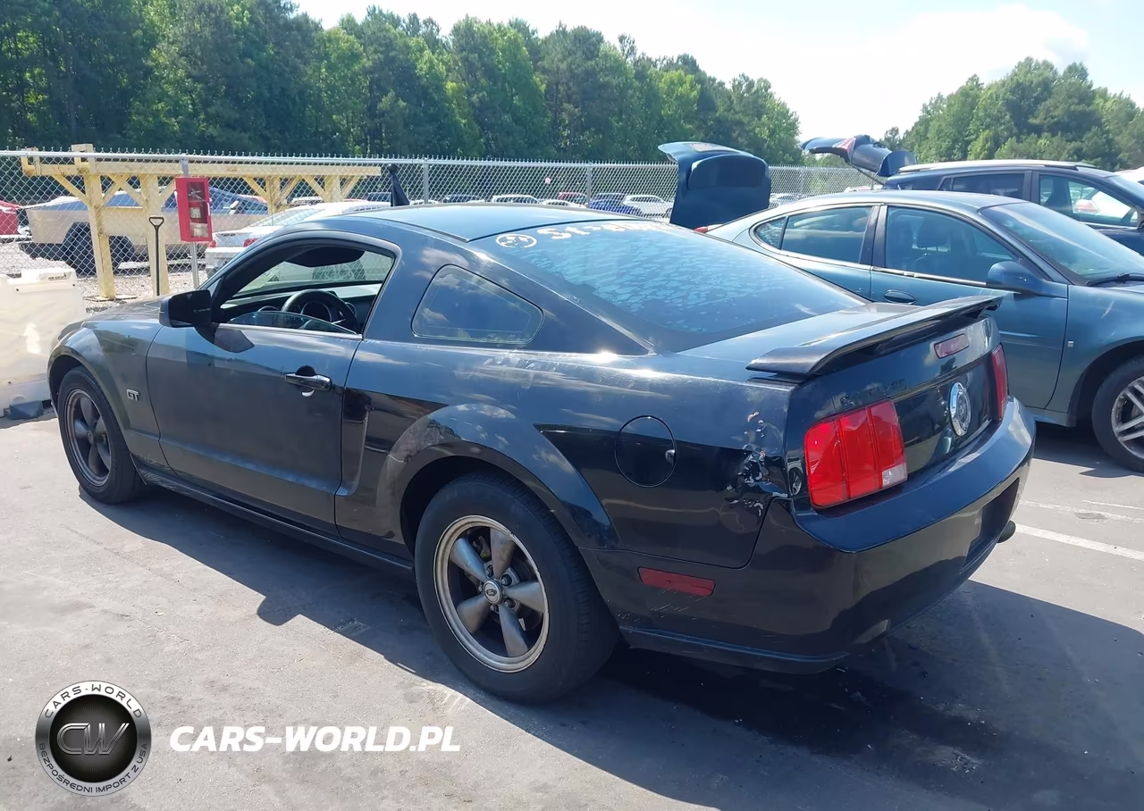 2005 Ford Mustang Gt Deluxe-Gt Premium VIN:1ZVFT82H355237933 - 3