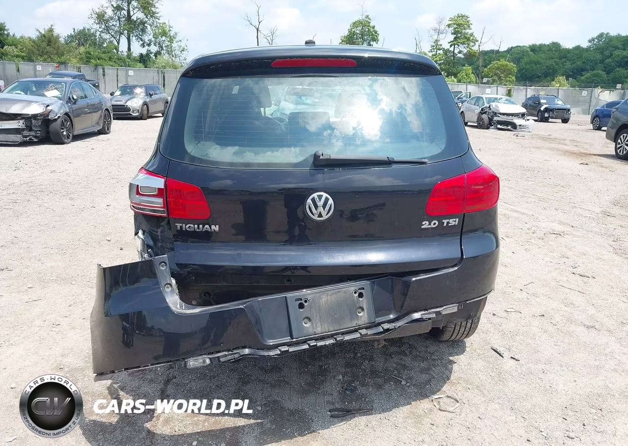 2013 Volkswagen Tiguan S VIN:WVGAV7AX6DW539005 - 16