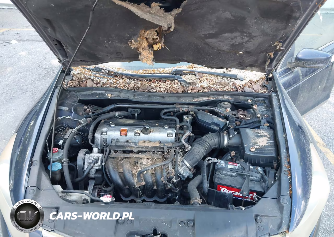 2008 Honda Accord 2.4 Ex VIN:JHMCP26778C018691 - 10