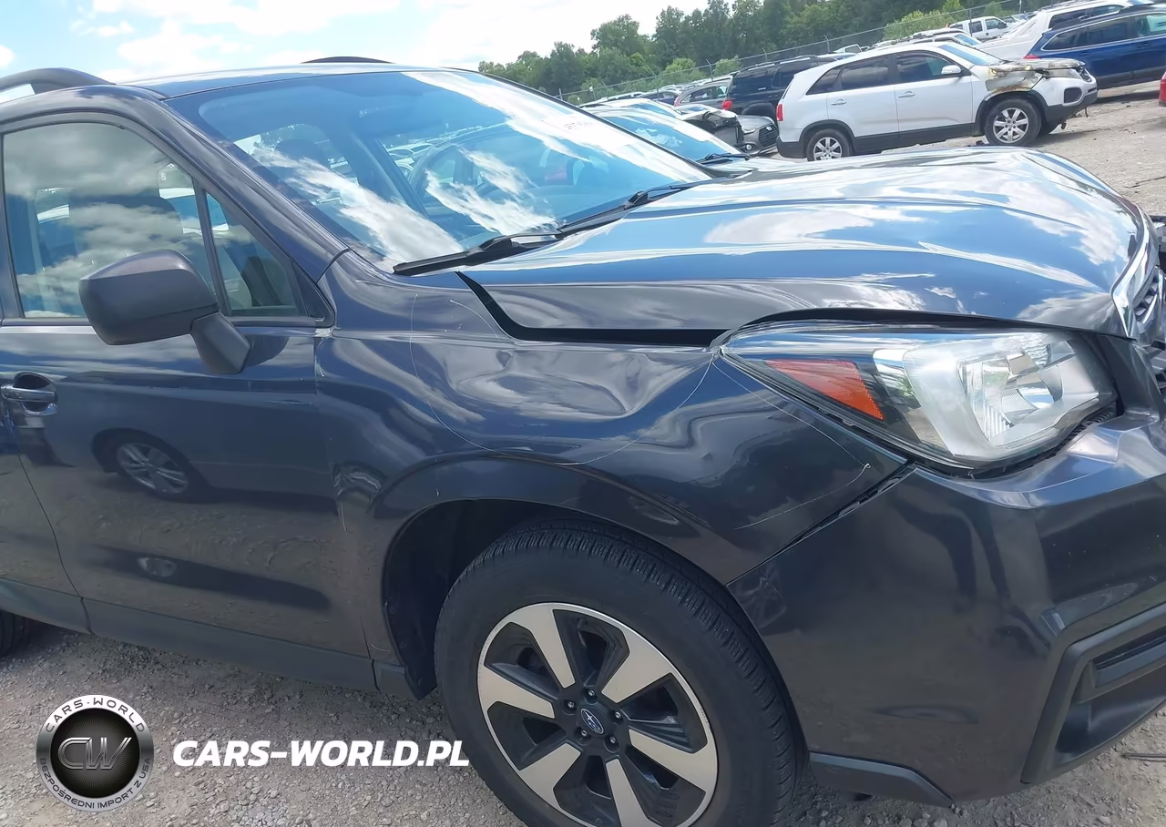 2017 Subaru Forester 2.5I VIN:JF2SJABC6HH457302 - 19