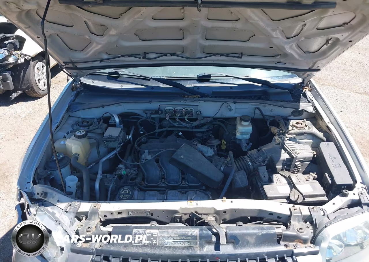 2006 Ford Escape Xlt-Xlt Sport VIN:1FMYU03186KD10384 - 10