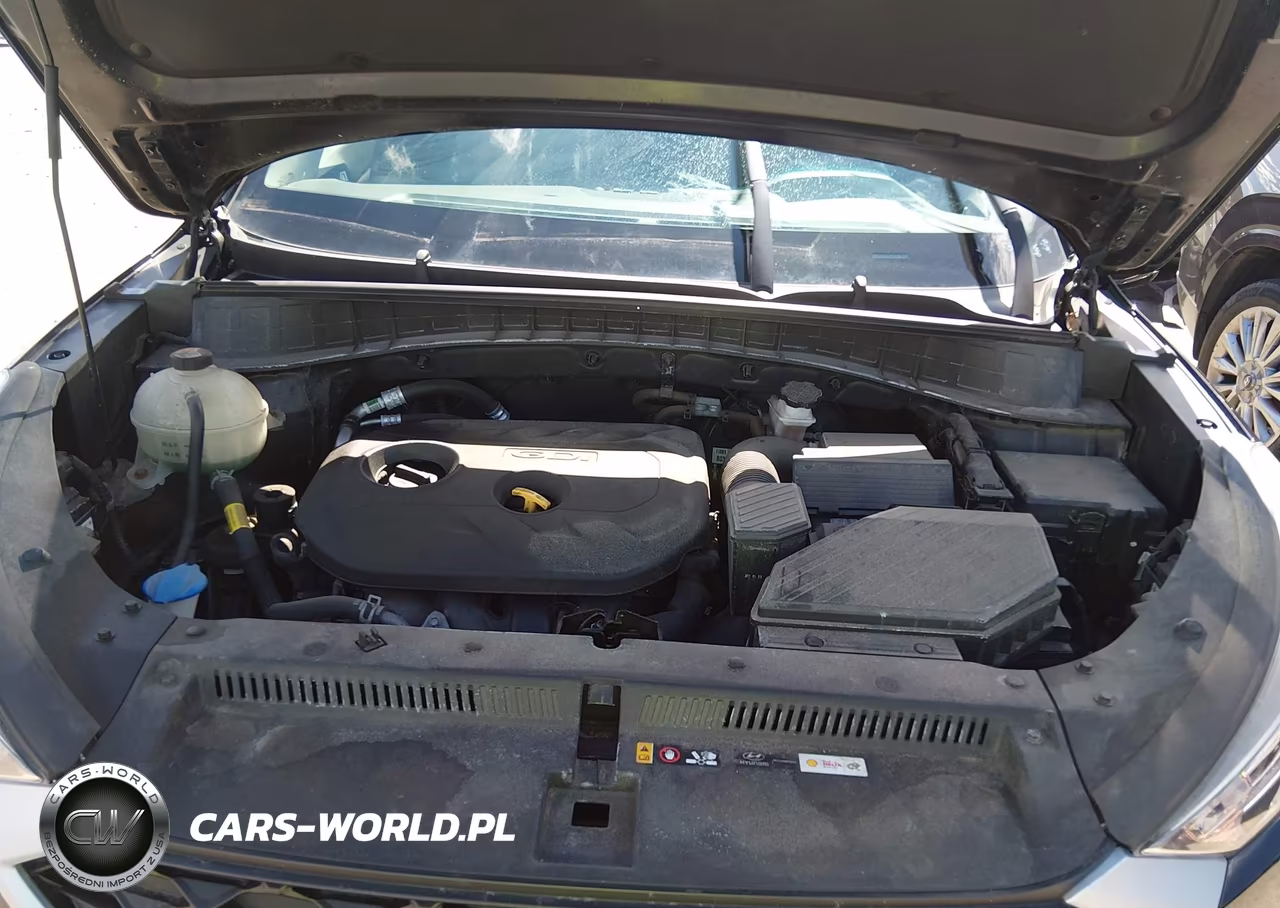 2019 Hyundai Tucson Se VIN:KM8J2CA45KU029664 - 10