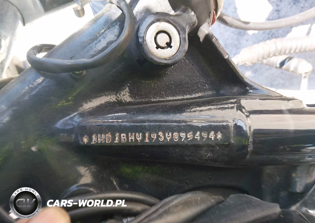 2003 Harley-Davidson Fxst VIN:1HD1BHY193Y095494 - 10