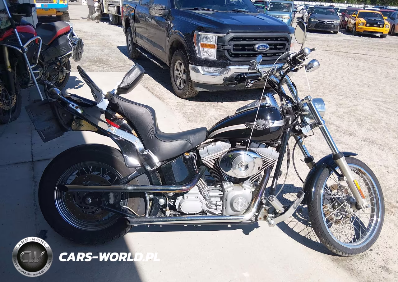 2003 Harley-Davidson Fxst VIN:1HD1BHY193Y095494 - 11