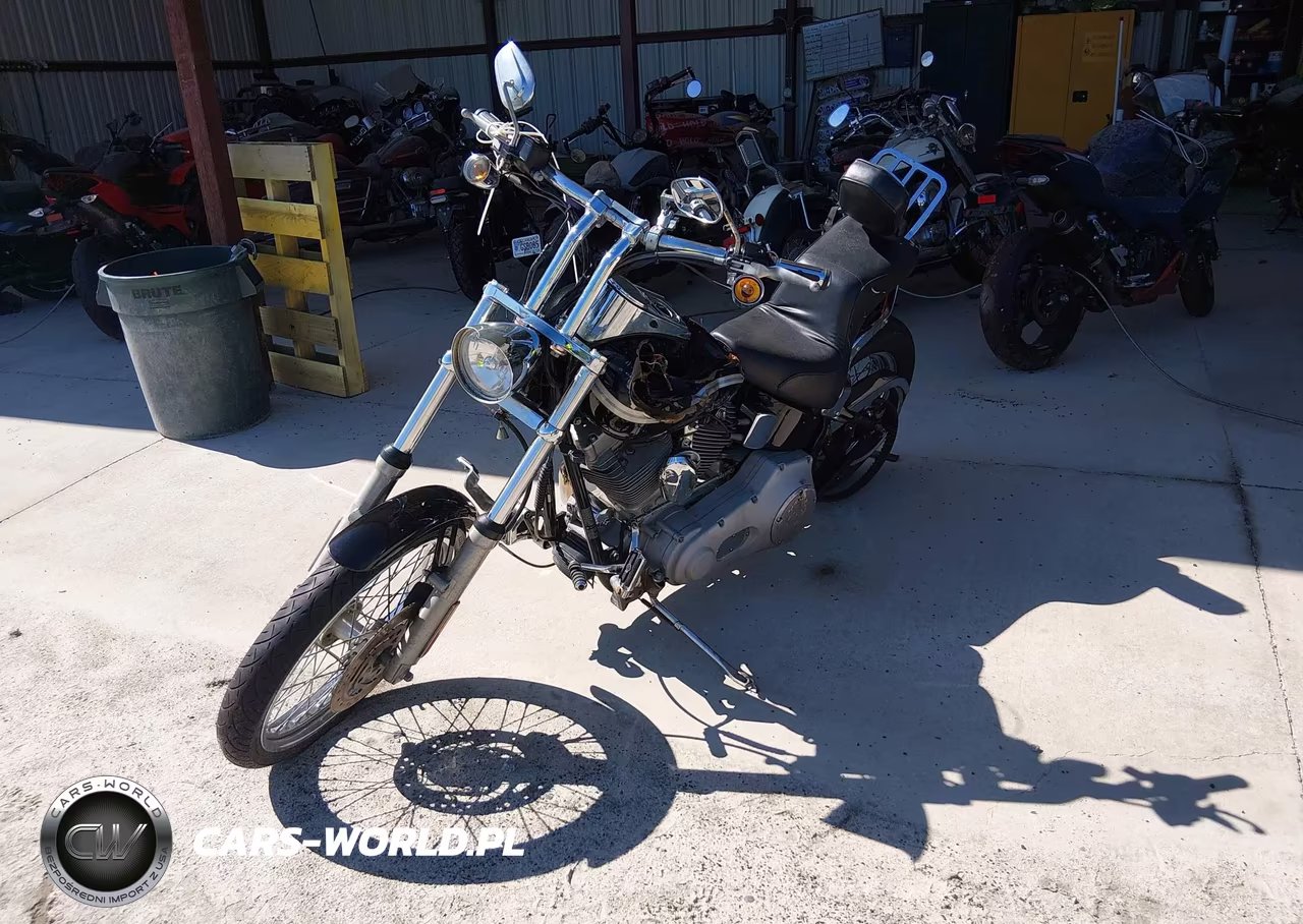 2003 Harley-Davidson Fxst VIN:1HD1BHY193Y095494 - 2