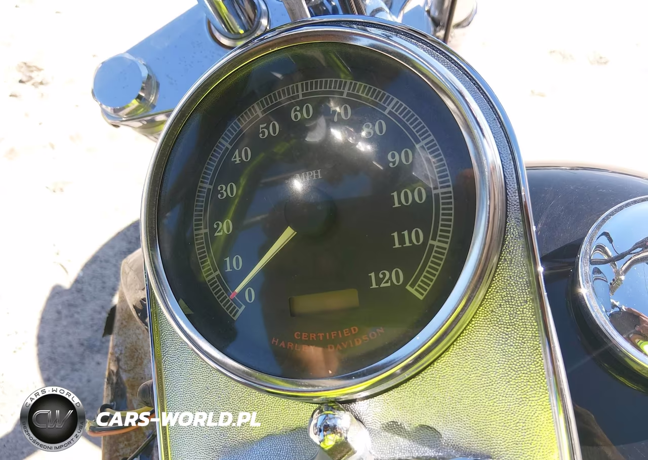 2003 Harley-Davidson Fxst VIN:1HD1BHY193Y095494 - 7