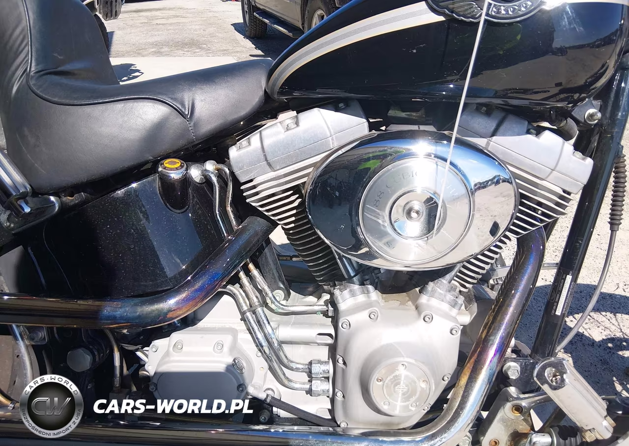 2003 Harley-Davidson Fxst VIN:1HD1BHY193Y095494 - 8