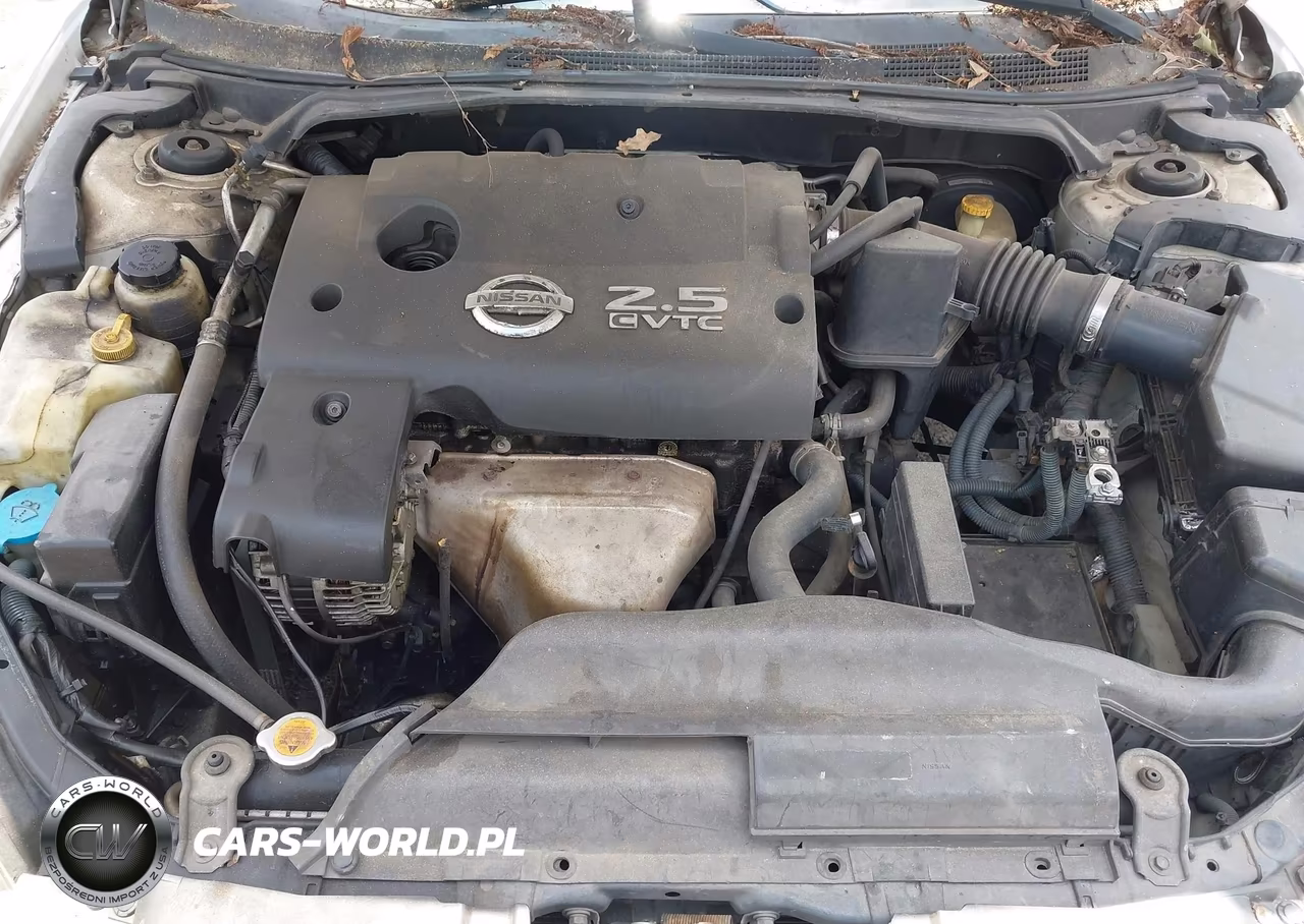 2005 Nissan Altima 2.5 S VIN:1N4AL11D75C336761 - 10