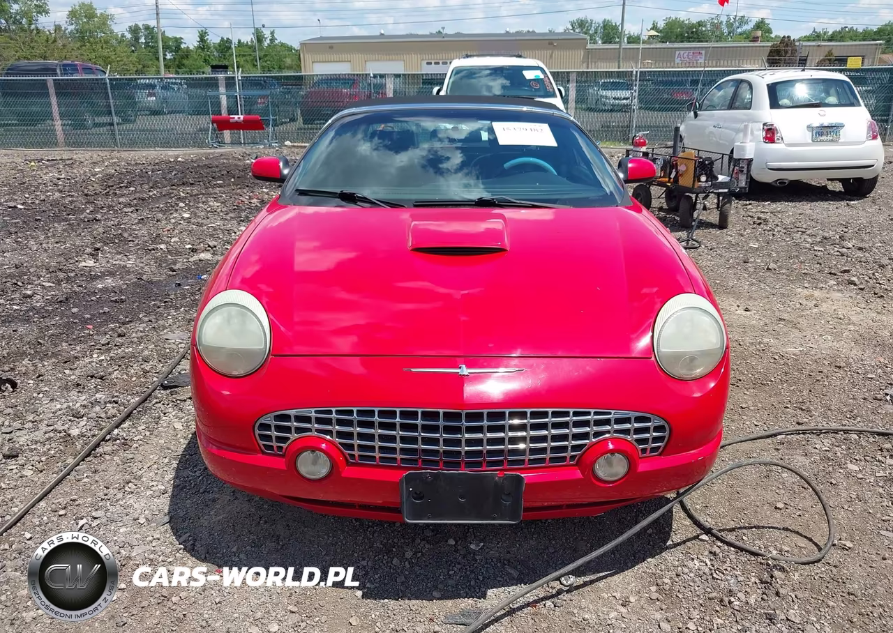 2004 Ford Thunderbird VIN:1FAHP60A14Y102091 - 12
