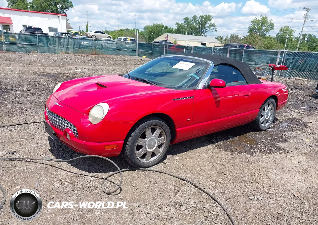 2004 Ford Thunderbird VIN:1FAHP60A14Y102091 - 2