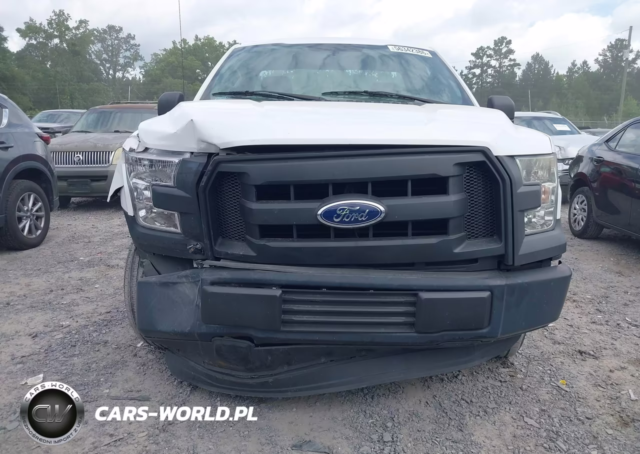 2016 Ford F-150 Xl VIN:1FTMF1C84GKD83401 - 12