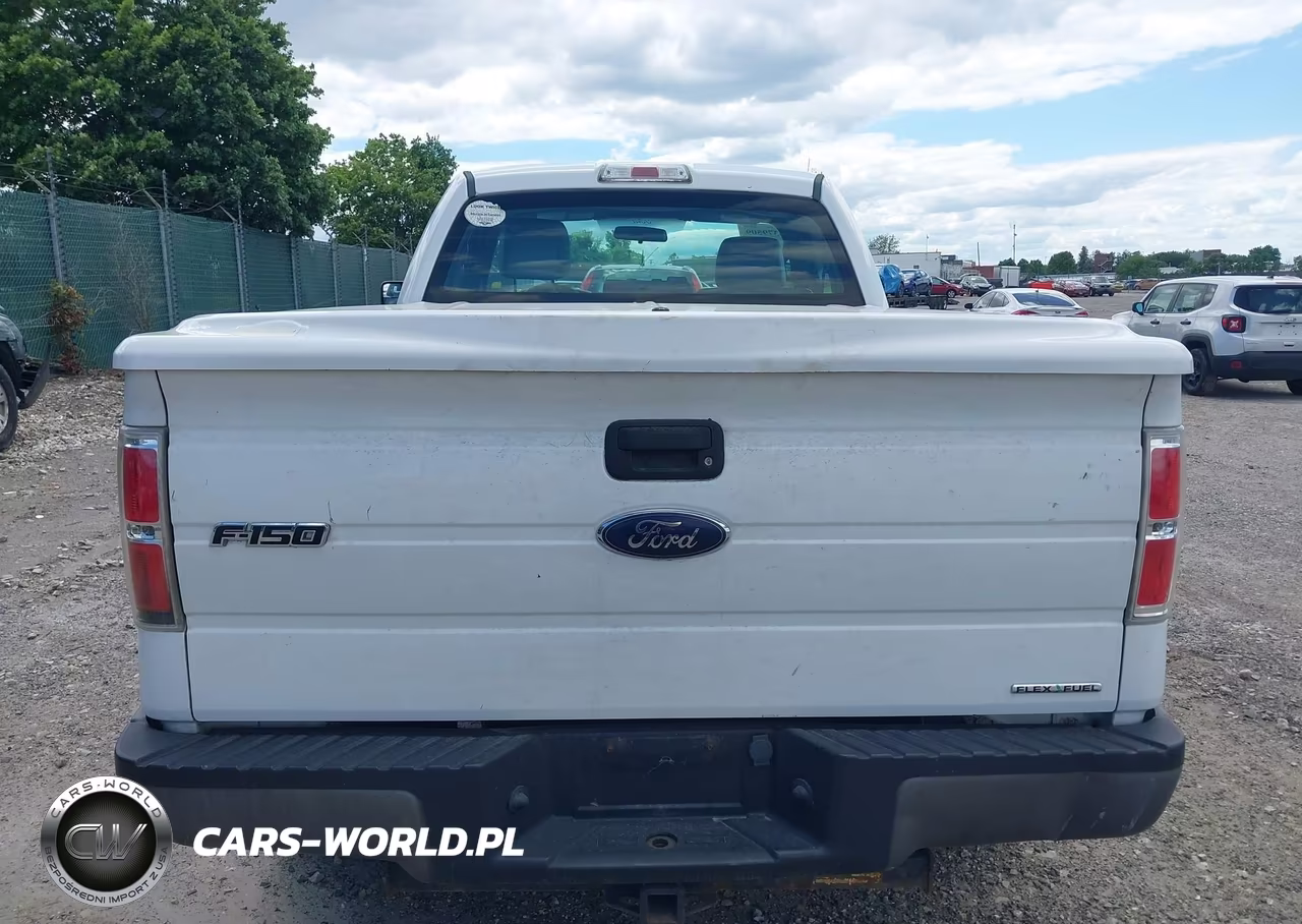 2014 Ford F-150 Xl VIN:1FTMF1CM5EFD03820 - 16