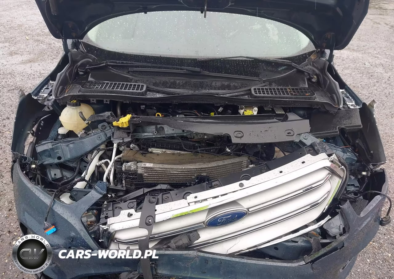 2019 Ford Escape Se VIN:1FMCU0GD9KUB12975 - 10