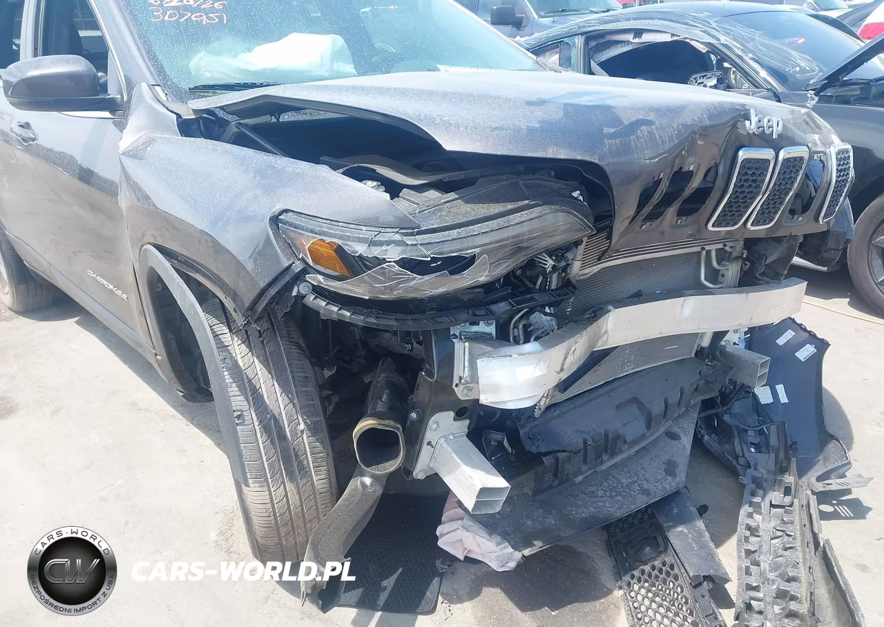 2019 Jeep Cherokee Limited 4X4 VIN:1C4PJMDX1KD379516 - 16