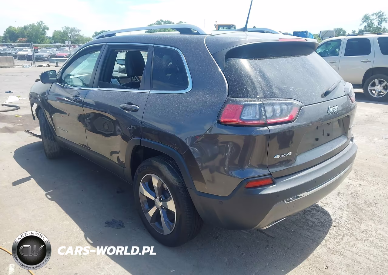 2019 Jeep Cherokee Limited 4X4 VIN:1C4PJMDX1KD379516 - 3
