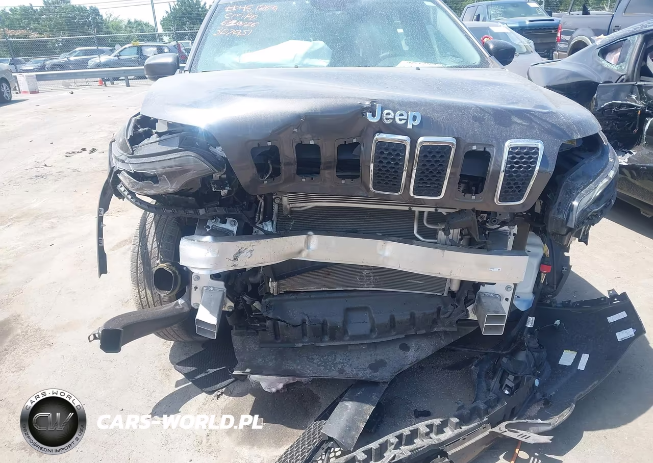 2019 Jeep Cherokee Limited 4X4 VIN:1C4PJMDX1KD379516 - 6
