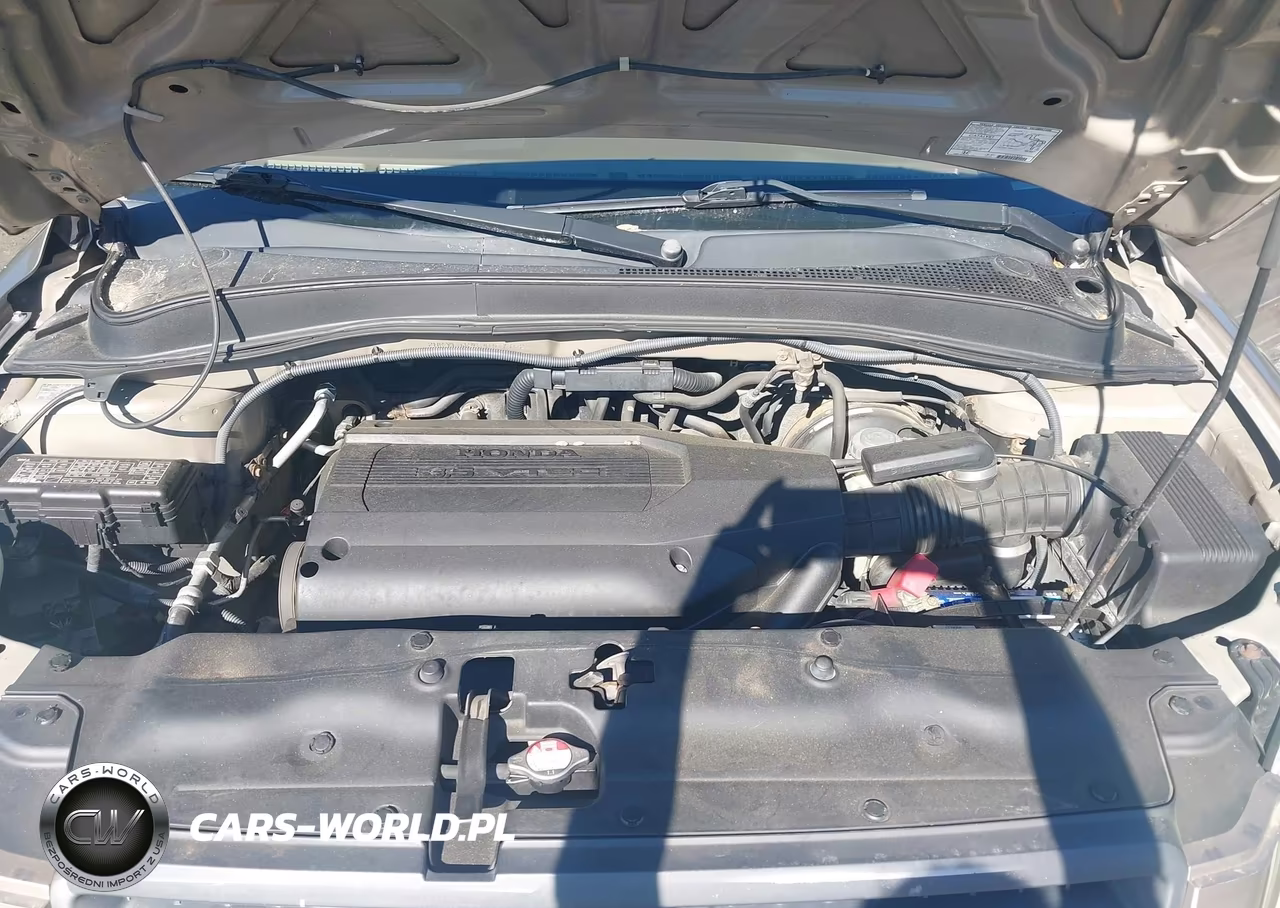 2004 Honda Pilot Ex VIN:2HKYF18484H577527 - 10