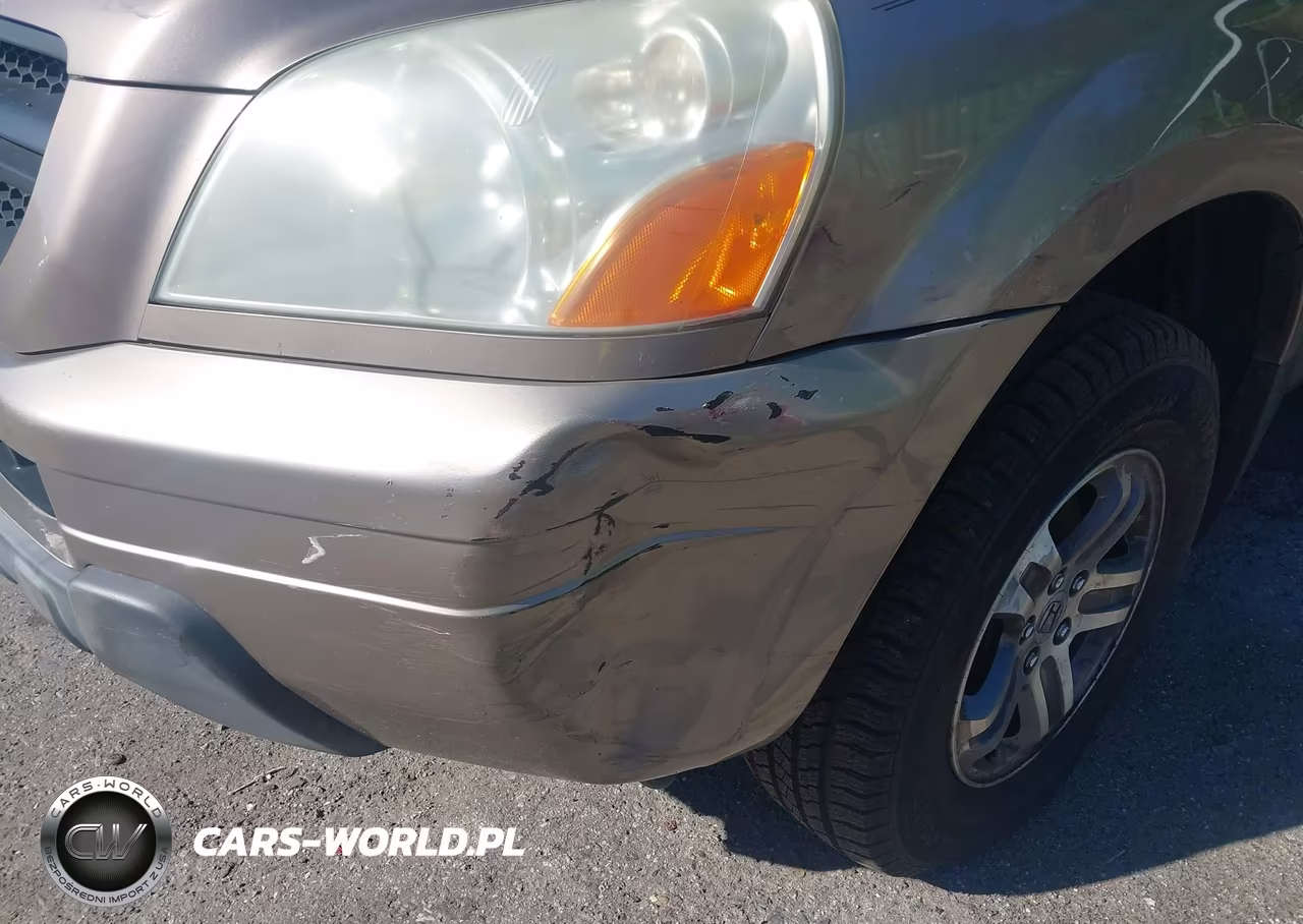 2004 Honda Pilot Ex VIN:2HKYF18484H577527 - 12