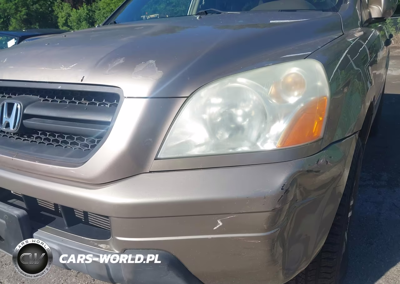 2004 Honda Pilot Ex VIN:2HKYF18484H577527 - 13
