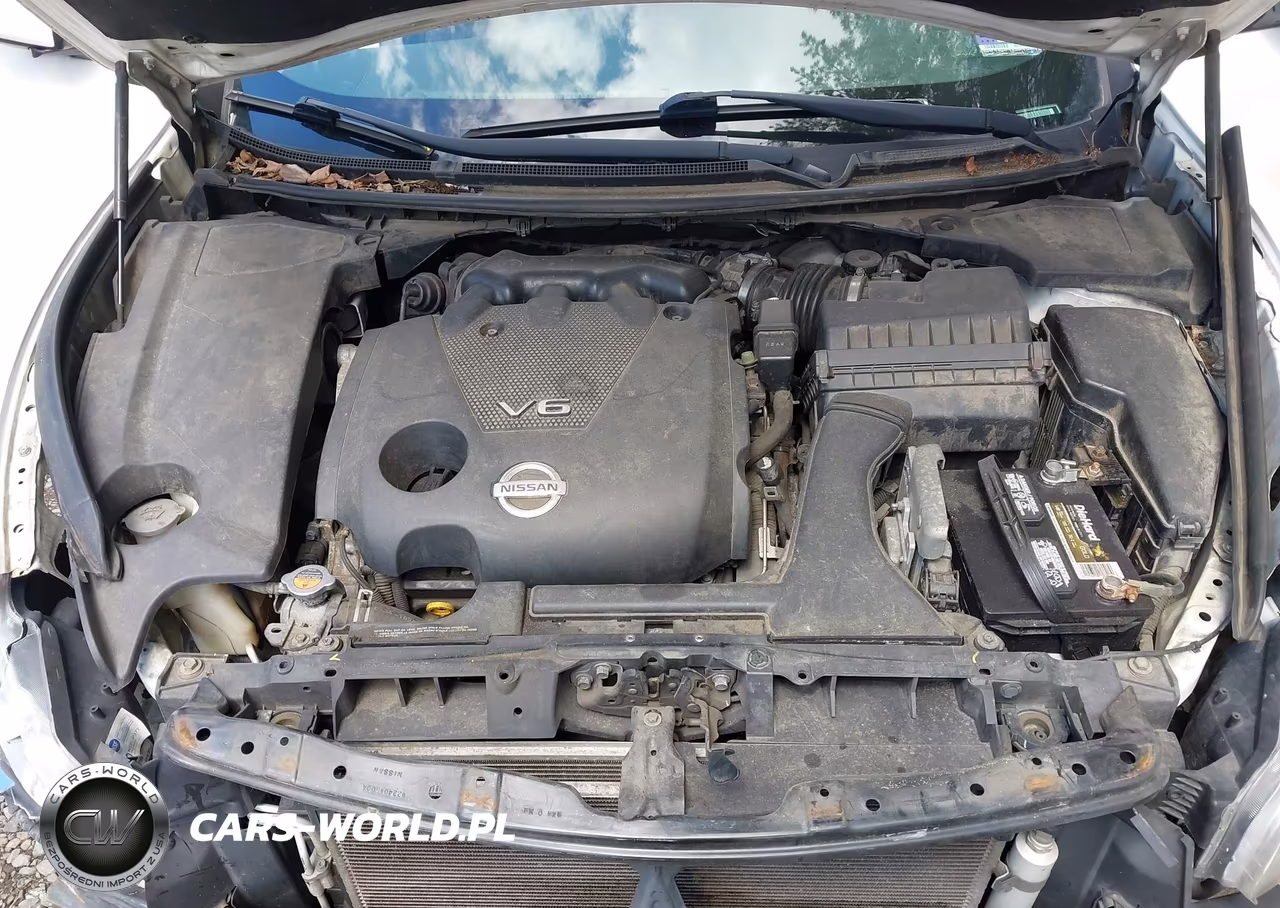 2014 Nissan Maxima VIN:1N4AA5AP7EC466482 - 10