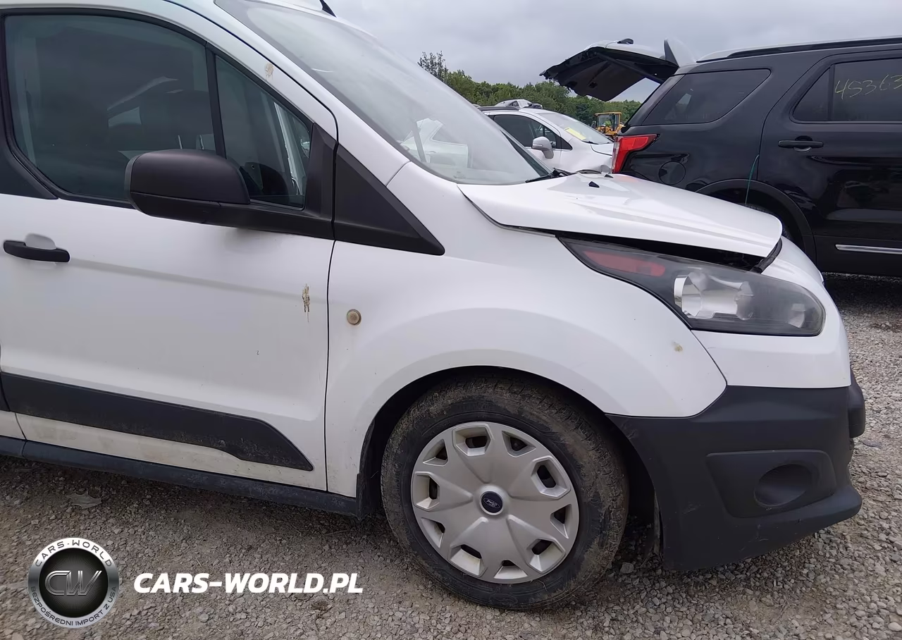 2017 Ford Transit Connect Xl VIN:NM0LE7E79H1330428 - 19