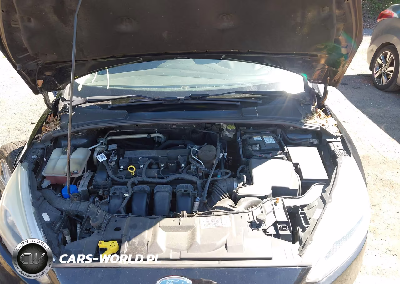 2016 Ford Focus Se VIN:1FADP3F25GL288068 - 10