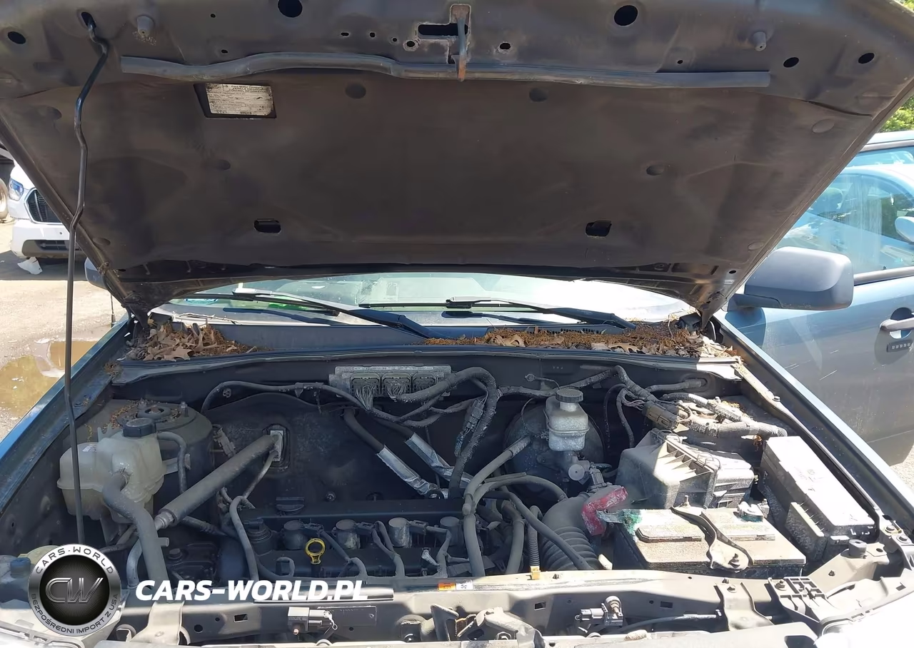 2010 Ford Escape Xlt VIN:1FMCU0D74AKA53407 - 10