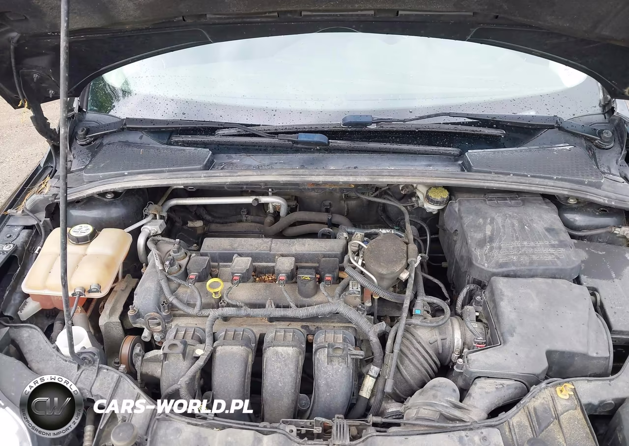 2014 Ford Focus Se VIN:1FADP3F2XEL415698 - 10