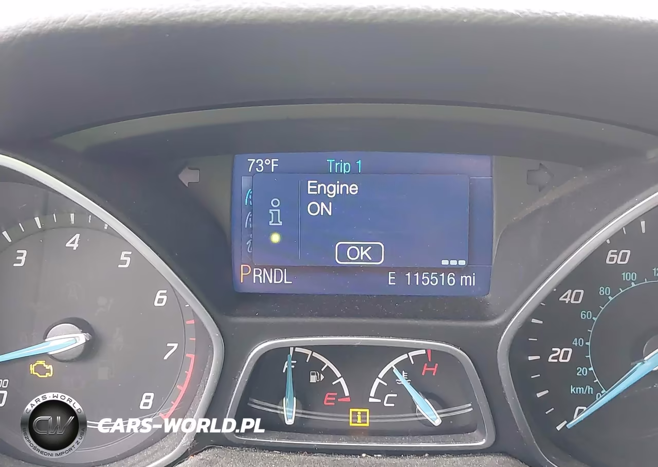 2014 Ford Focus Se VIN:1FADP3F2XEL415698 - 7