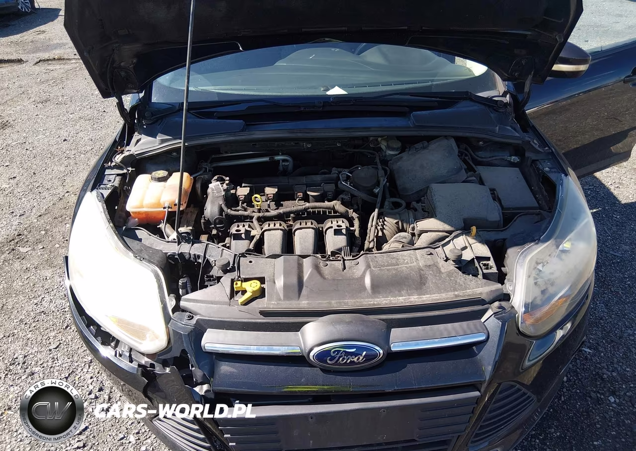 2014 Ford Focus Se VIN:1FADP3F23EL309044 - 10