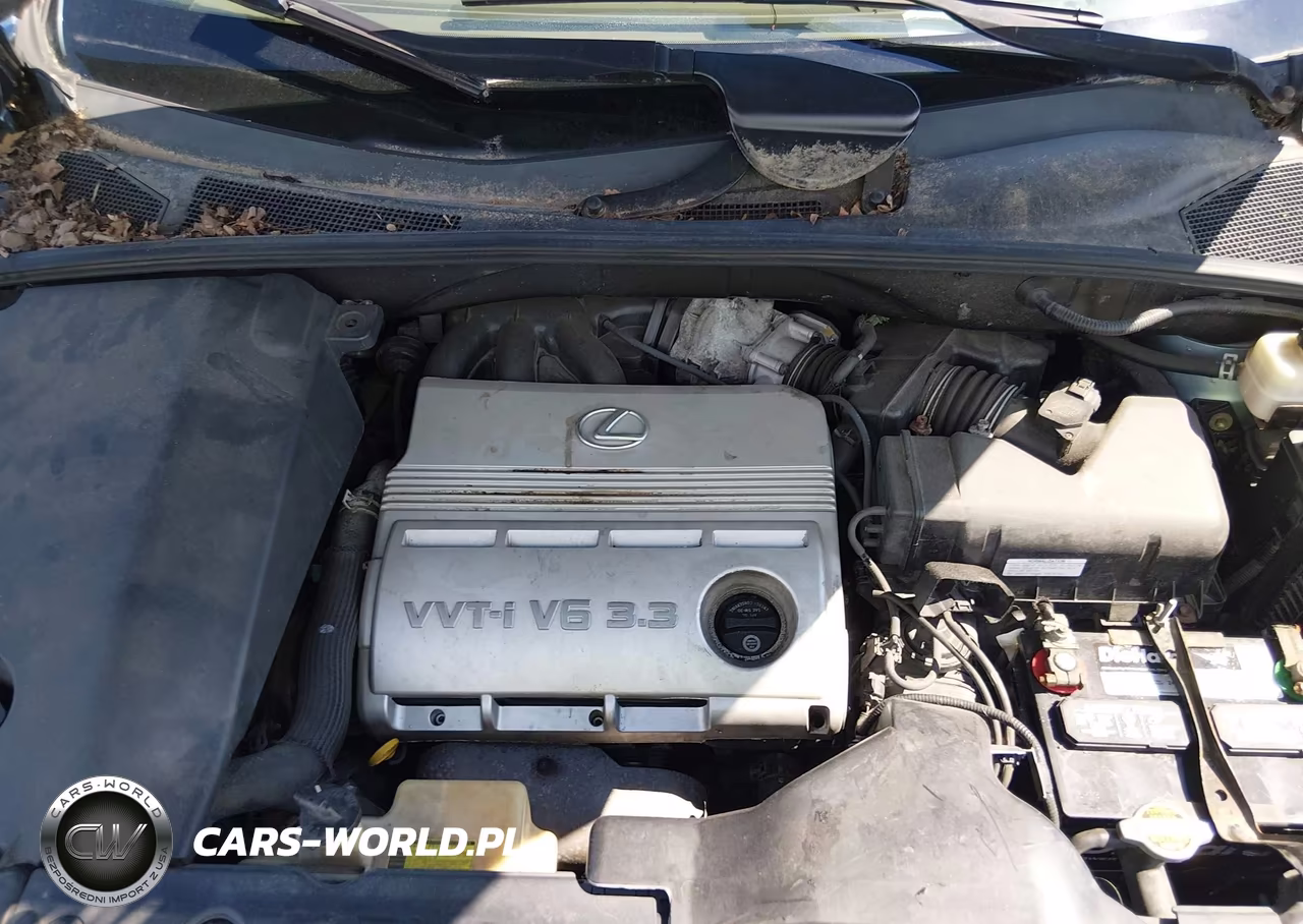 2006 Lexus Rx 330 VIN:2T2HA31U06C098637 - 10