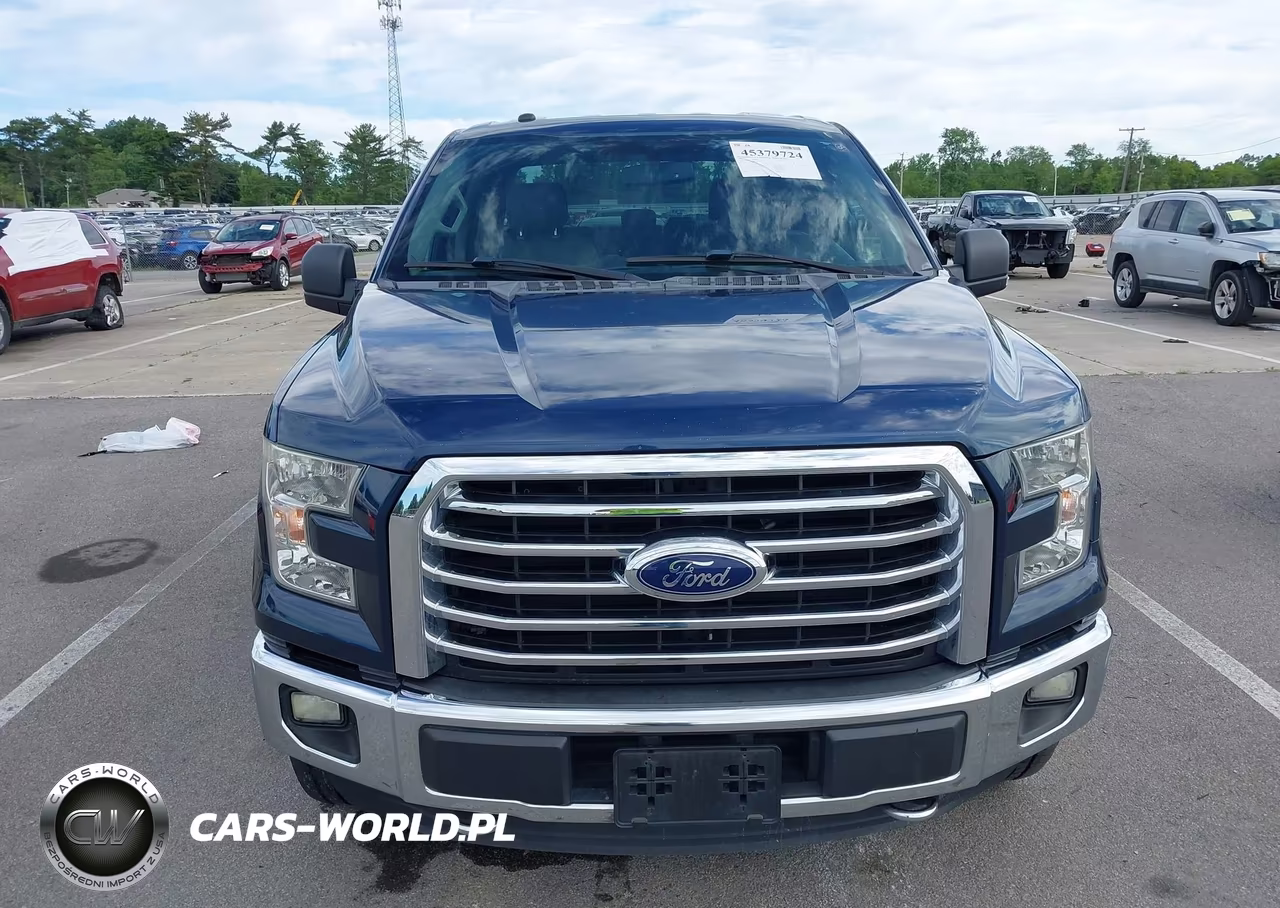 2016 Ford F-150 Xlt VIN:1FTEW1EGXGKE06897 - 12