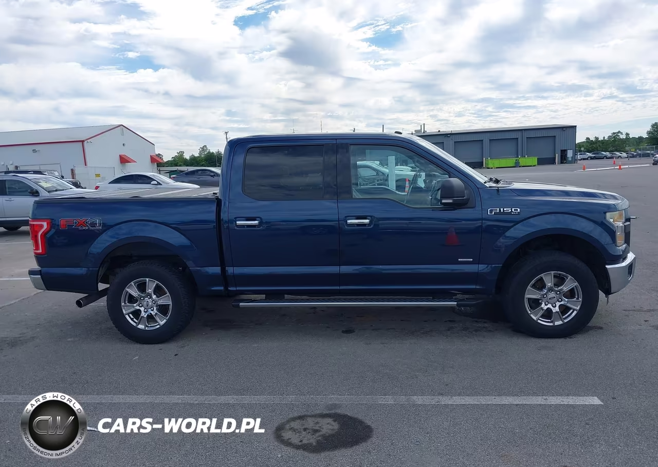 2016 Ford F-150 Xlt VIN:1FTEW1EGXGKE06897 - 13