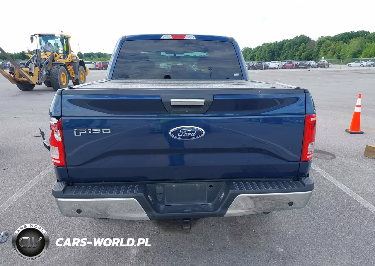 2016 Ford F-150 Xlt VIN:1FTEW1EGXGKE06897 - 16