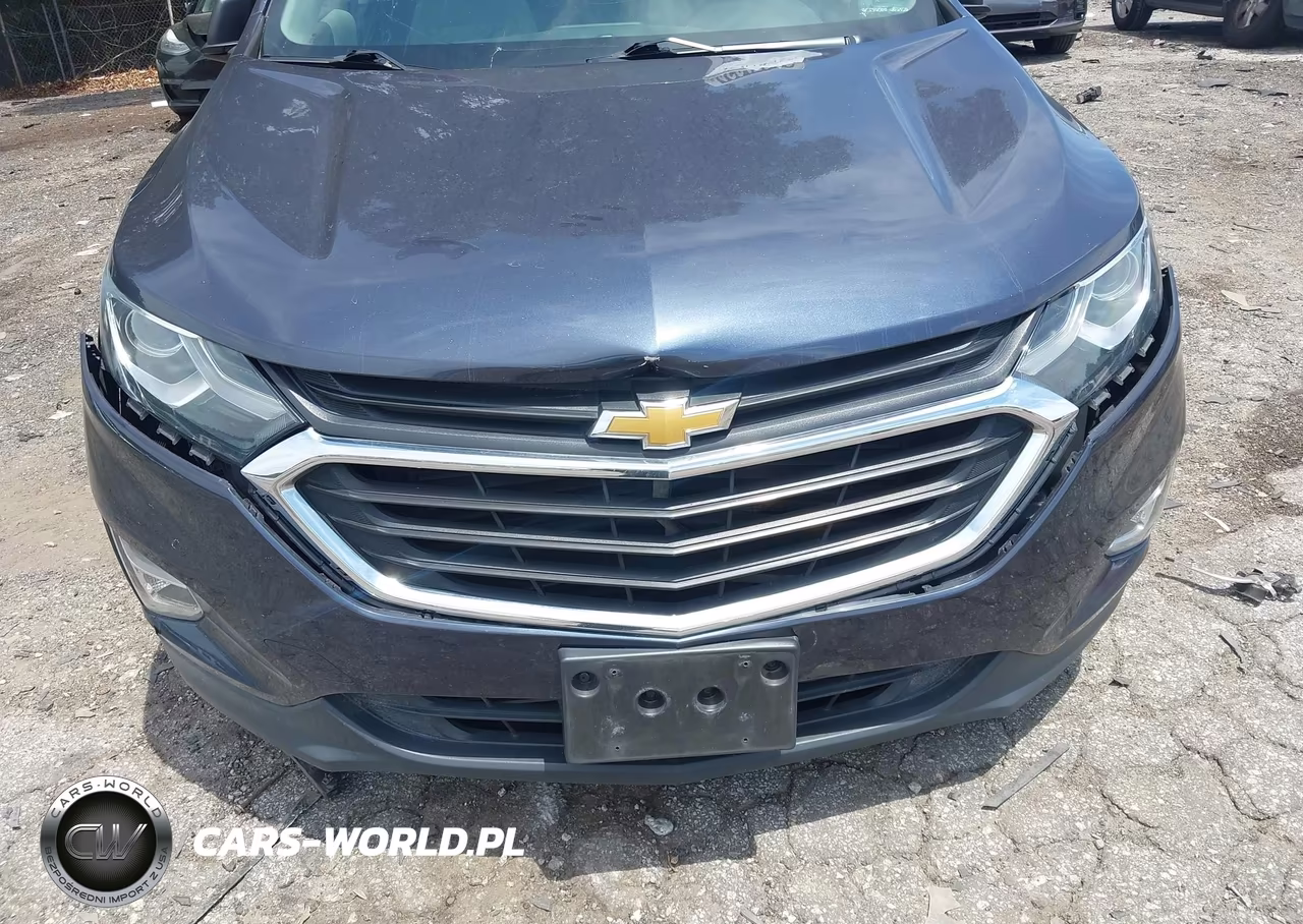 2018 Chevrolet Equinox Ls VIN:3GNAXREV2JL103490 - 17