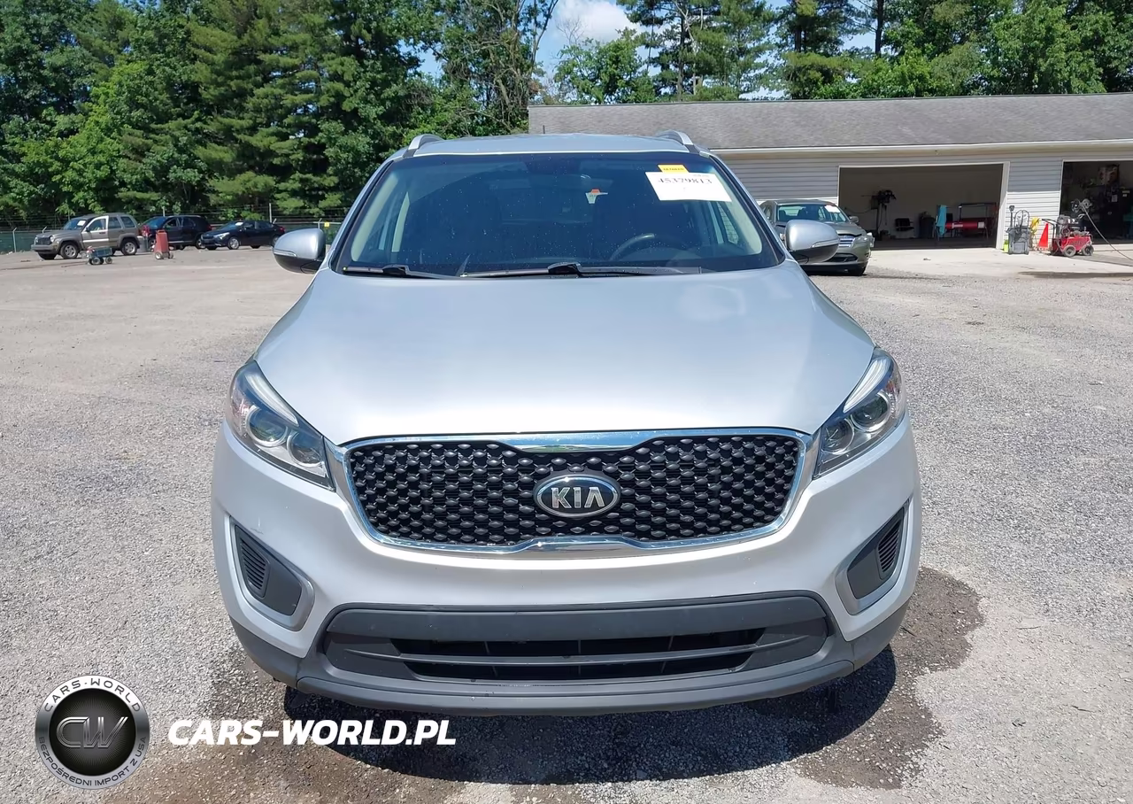 2017 Kia Sorento 2.4L Lx VIN:5XYPGDA31HG298655 - 13