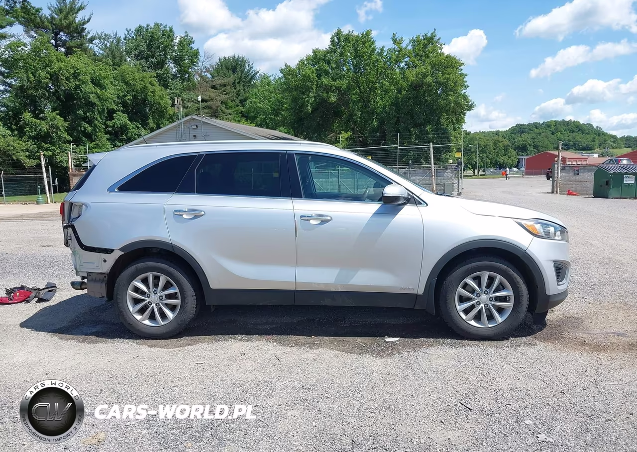 2017 Kia Sorento 2.4L Lx VIN:5XYPGDA31HG298655 - 14