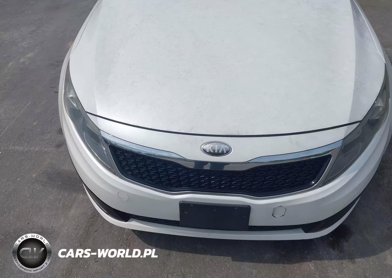 2013 Kia Optima Lx VIN:KNAGM4A79D5438141 - 6