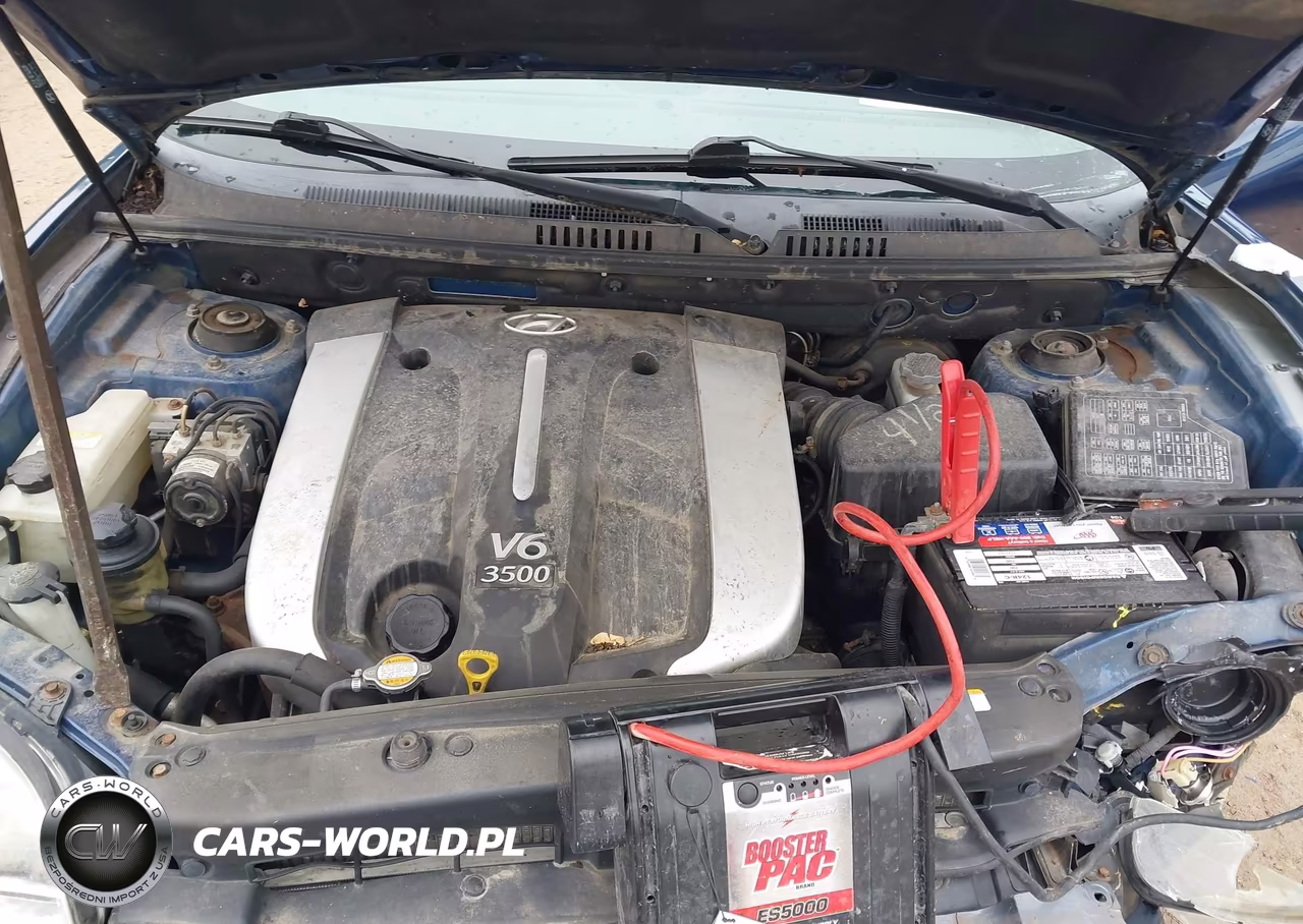 2006 Hyundai Santa Fe Gls-Limited VIN:KM8SC73E26U095271 - 10