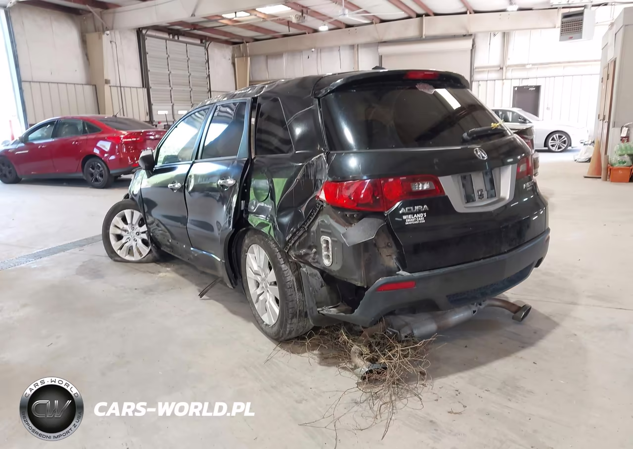 2010 Acura Rdx VIN:5J8TB2H59AA003964 - 3