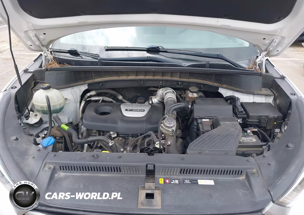 2018 Hyundai Tucson Value VIN:KM8J3CA20JU629373 - 10
