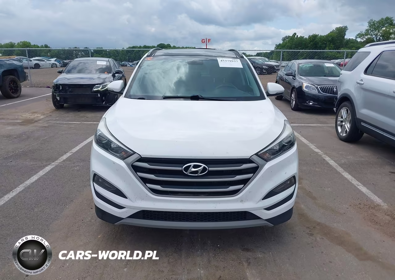 2018 Hyundai Tucson Value VIN:KM8J3CA20JU629373 - 12
