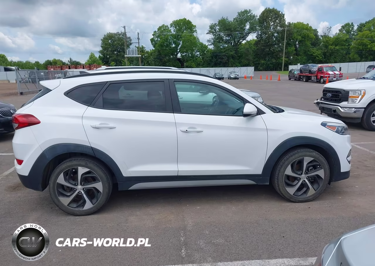 2018 Hyundai Tucson Value VIN:KM8J3CA20JU629373 - 13