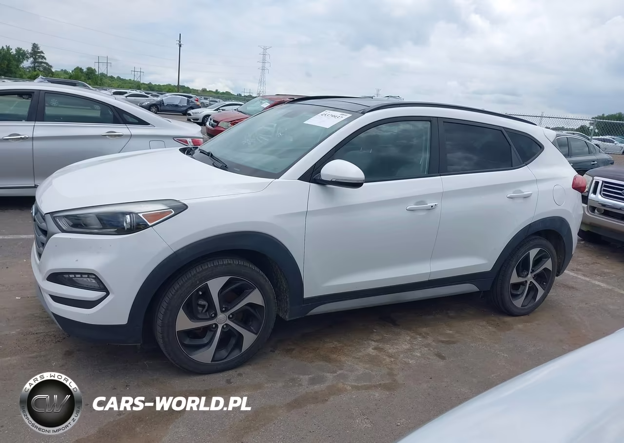 2018 Hyundai Tucson Value VIN:KM8J3CA20JU629373 - 14