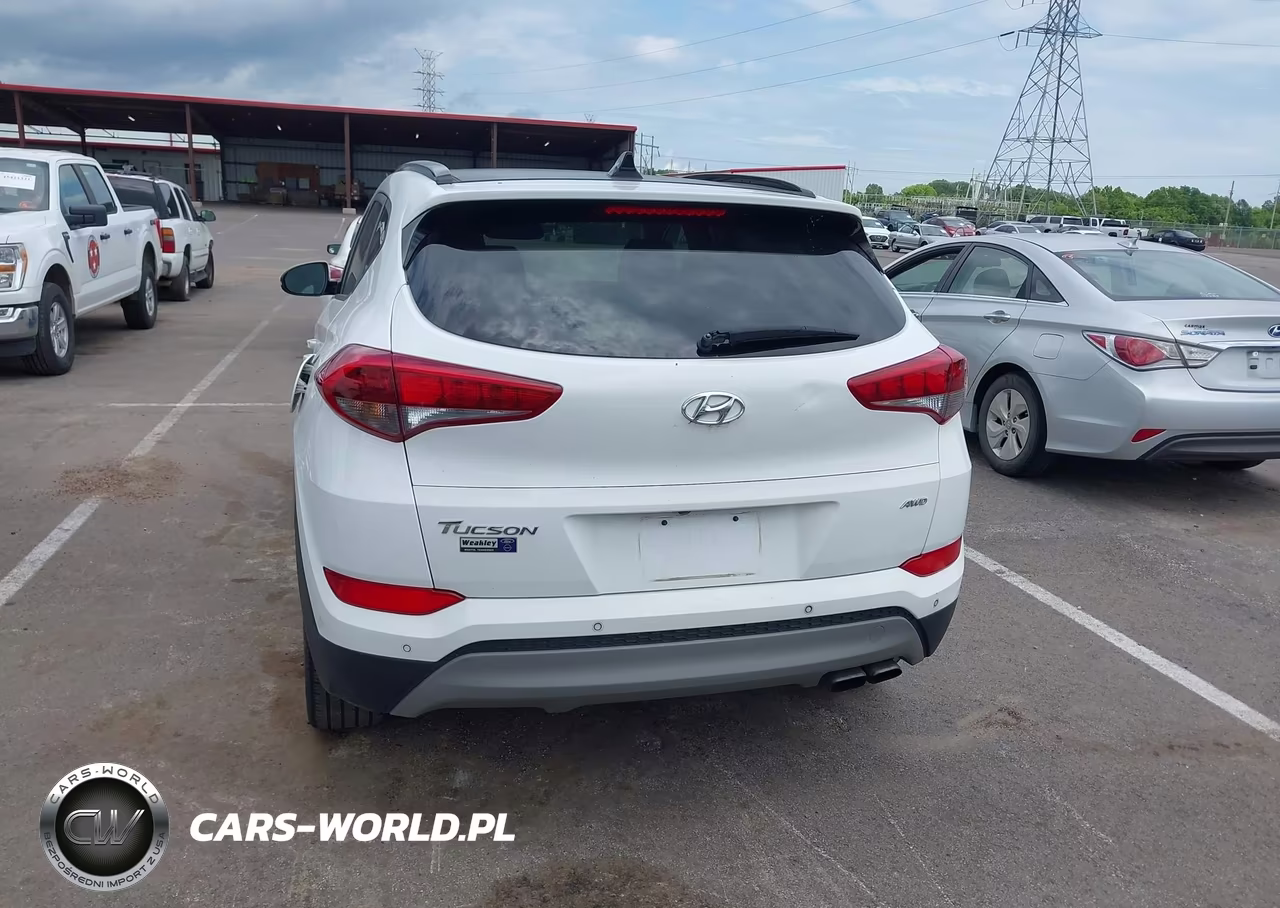 2018 Hyundai Tucson Value VIN:KM8J3CA20JU629373 - 16