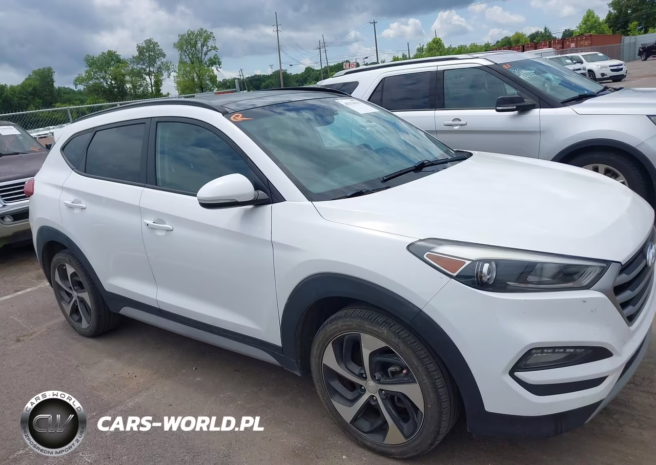 2018 Hyundai Tucson Value VIN:KM8J3CA20JU629373 - 17