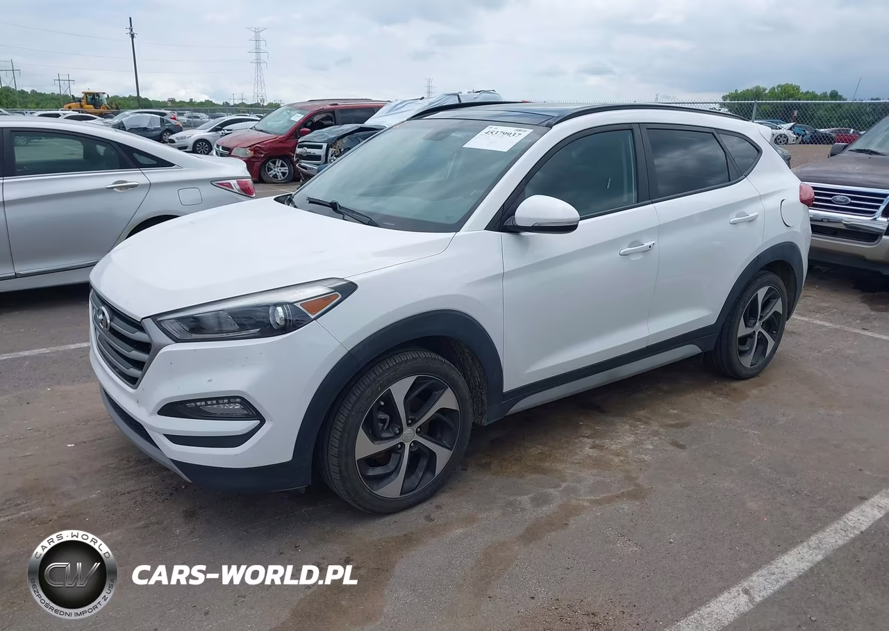 2018 Hyundai Tucson Value VIN:KM8J3CA20JU629373 - 2
