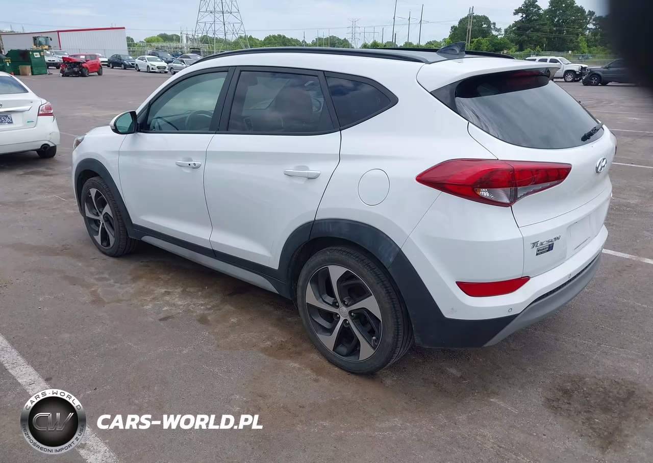 2018 Hyundai Tucson Value VIN:KM8J3CA20JU629373 - 3