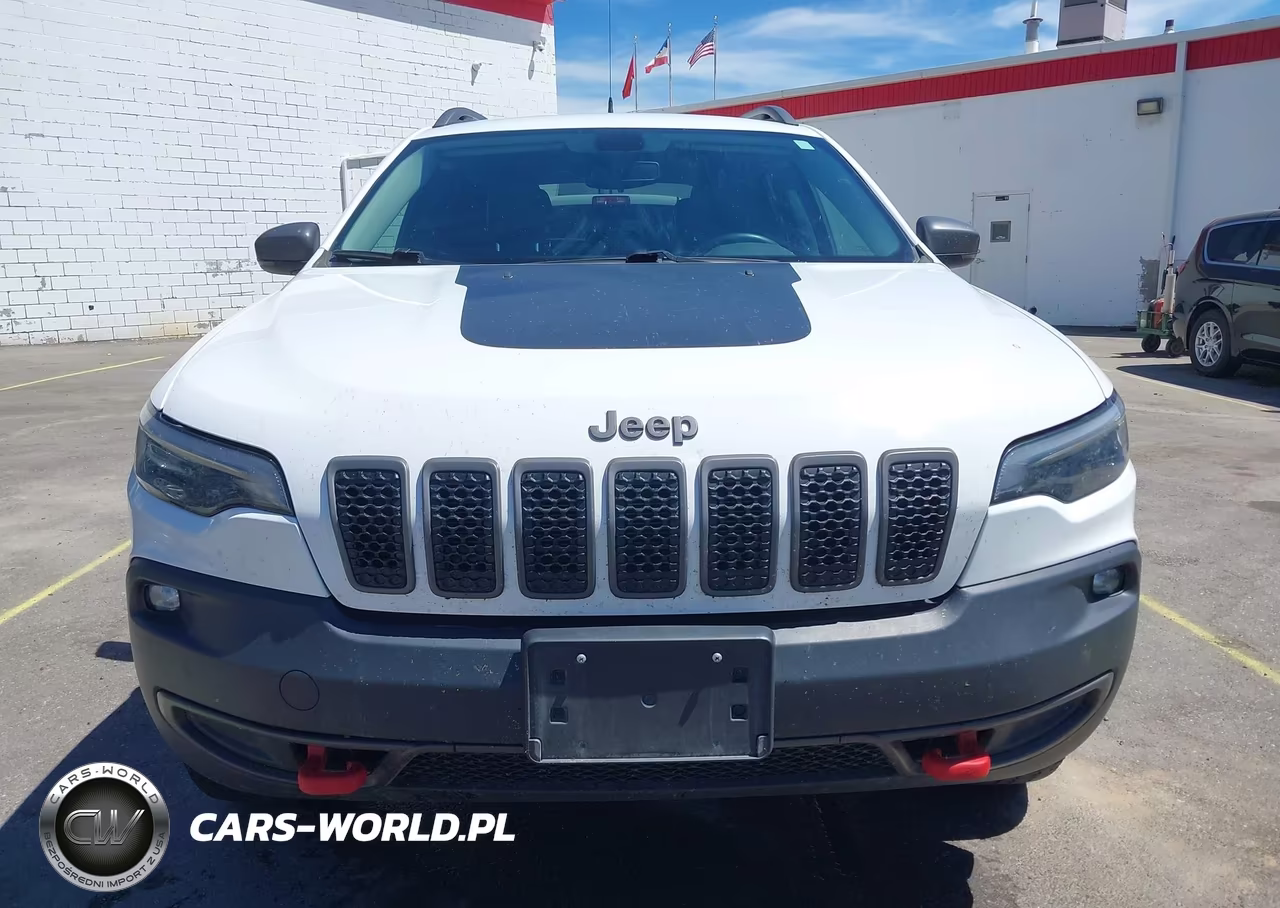 2019 Jeep Cherokee Trailhawk 4X4 VIN:1C4PJMBX4KD185520 - 12